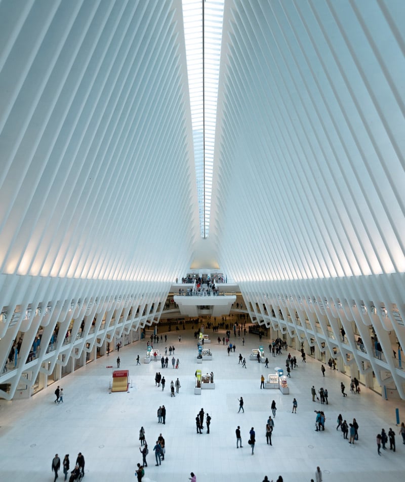 pexels luis dalvan 1770808 1