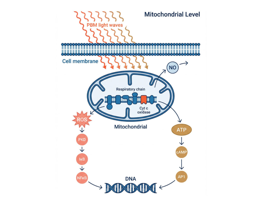 pbm mechanism
