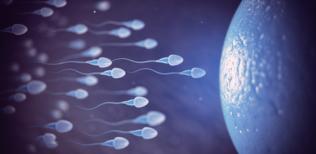 Sperm and egg cell on microscope.  Scientific background. 3d illustration